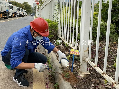 石井镇企业消杀红火蚁