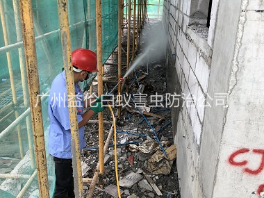 钟落潭建筑白蚁预防工程
