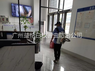 龙归室内杀灭蚊蝇工程