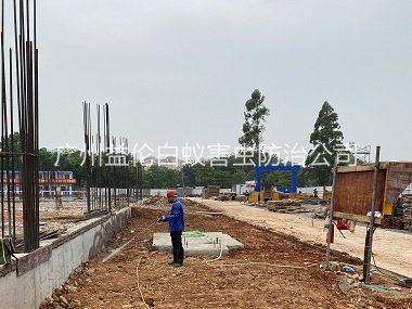 良田地基白蚁预防工程