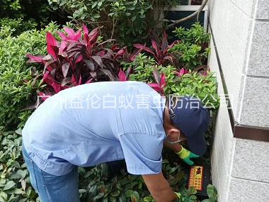 嘉禾住宅环境灭鼠工程