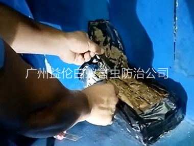 良田白蚁侵害防治工程