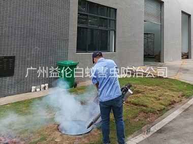 人和厂区杀蟑螂蚊蝇工程
