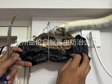 蚌湖房屋白蚁诱杀工程
