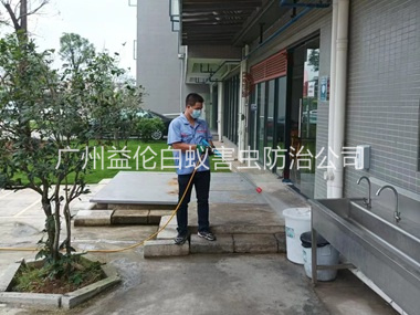 钟落潭外环境消杀四害工程