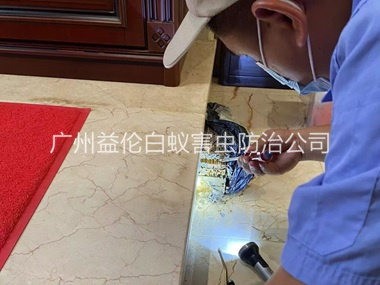 石马安装诱杀箱监测白蚁工程